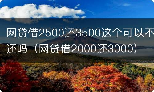 网贷借2500还3500这个可以不还吗（网贷借2000还3000）