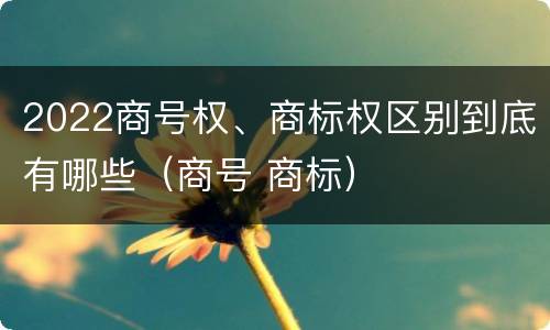 2022商号权、商标权区别到底有哪些（商号 商标）