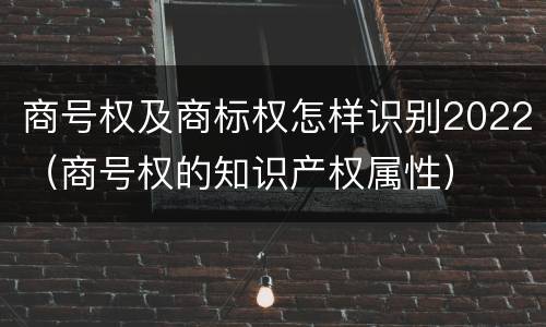 商号权及商标权怎样识别2022（商号权的知识产权属性）