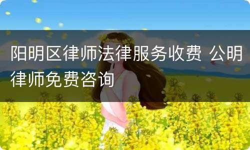 阳明区律师法律服务收费 公明律师免费咨询