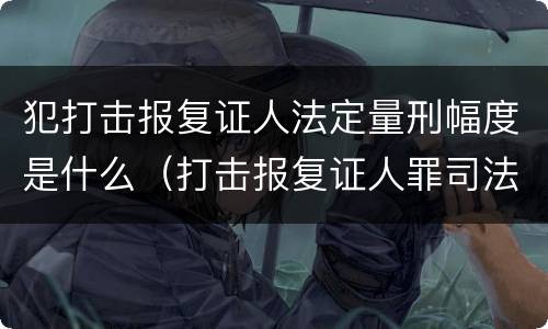 犯打击报复证人法定量刑幅度是什么（打击报复证人罪司法解释）