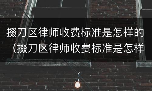 掇刀区律师收费标准是怎样的（掇刀区律师收费标准是怎样的呀）