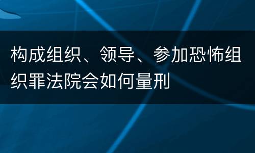 构成组织、领导、参加恐怖组织罪法院会如何量刑