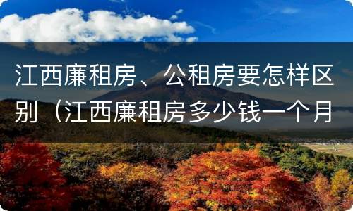 江西廉租房、公租房要怎样区别（江西廉租房多少钱一个月）