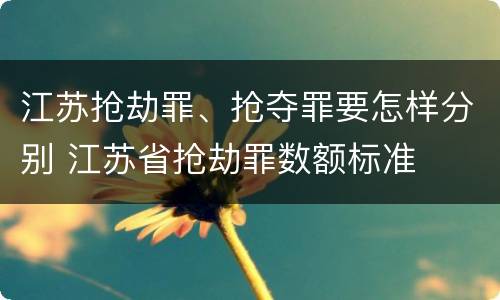 江苏抢劫罪、抢夺罪要怎样分别 江苏省抢劫罪数额标准