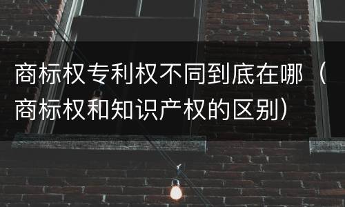 商标权专利权不同到底在哪（商标权和知识产权的区别）