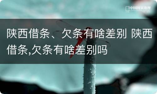 陕西借条、欠条有啥差别 陕西借条,欠条有啥差别吗