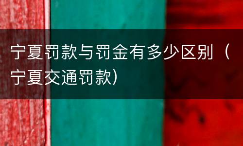 宁夏罚款与罚金有多少区别（宁夏交通罚款）