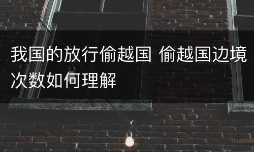 我国的放行偷越国 偷越国边境次数如何理解