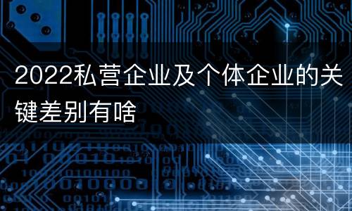 2022私营企业及个体企业的关键差别有啥