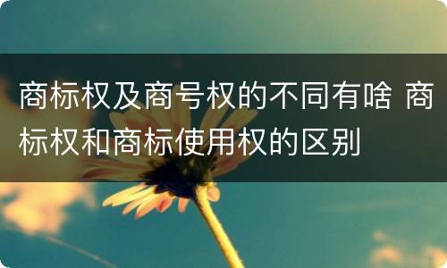 商标权及商号权的不同有啥 商标权和商标使用权的区别