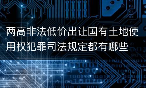 两高非法低价出让国有土地使用权犯罪司法规定都有哪些