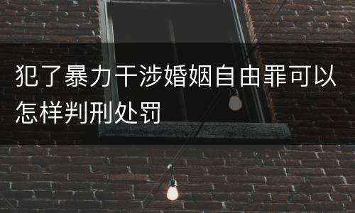 犯了暴力干涉婚姻自由罪可以怎样判刑处罚