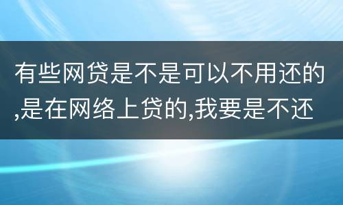 有些网贷是不是可以不用还的,是在网络上贷的,我要是不还,他们起诉我的可能性大不大