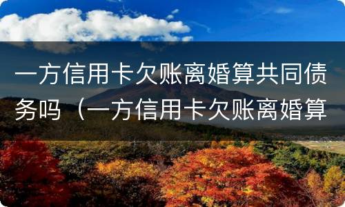 一方信用卡欠账离婚算共同债务吗（一方信用卡欠账离婚算共同债务吗怎么办）