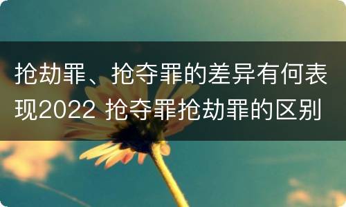 抢劫罪、抢夺罪的差异有何表现2022 抢夺罪抢劫罪的区别