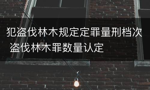 我国法律中代替考试罪量刑标准（代替他人考试罪构成要件有何规定）