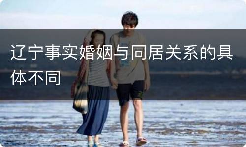 辽宁事实婚姻与同居关系的具体不同