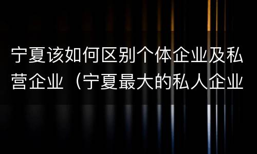 宁夏该如何区别个体企业及私营企业（宁夏最大的私人企业）