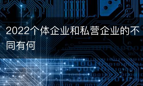 2022个体企业和私营企业的不同有何