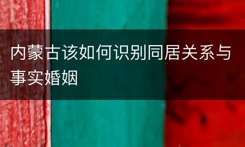 内蒙古该如何识别同居关系与事实婚姻