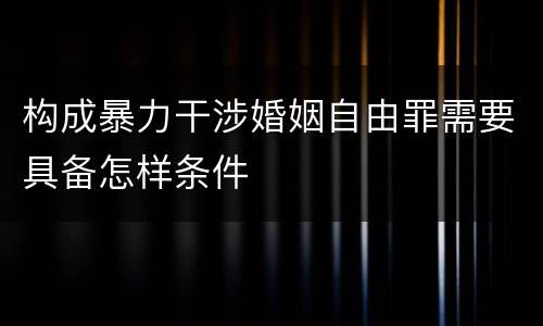 构成暴力干涉婚姻自由罪需要具备怎样条件