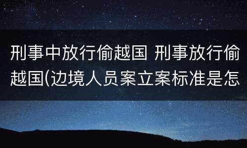 刑事中放行偷越国 刑事放行偷越国(边境人员案立案标准是怎样的