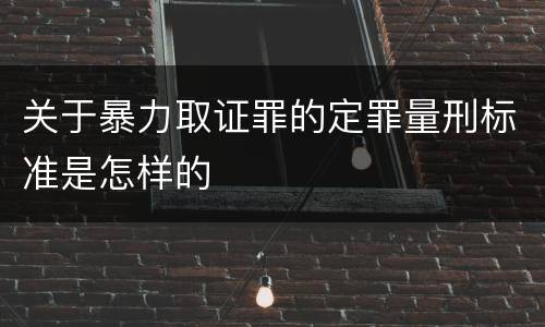 关于暴力取证罪的定罪量刑标准是怎样的