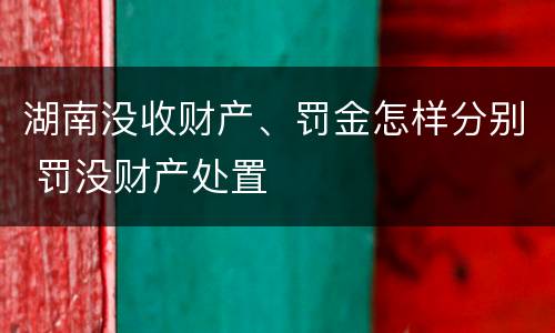 湖南没收财产、罚金怎样分别 罚没财产处置