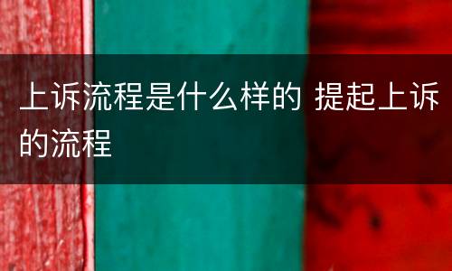 上诉流程是什么样的 提起上诉的流程