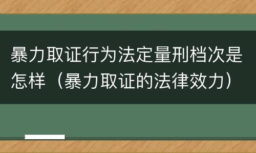 暴力取证行为法定量刑档次是怎样（暴力取证的法律效力）