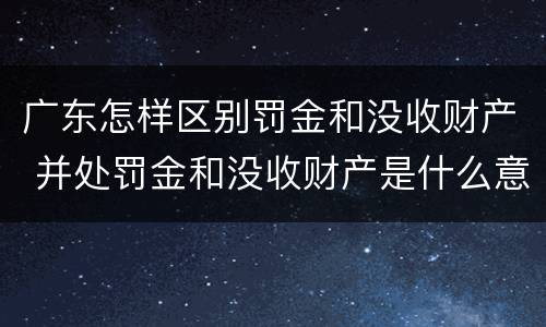 广东怎样区别罚金和没收财产 并处罚金和没收财产是什么意思