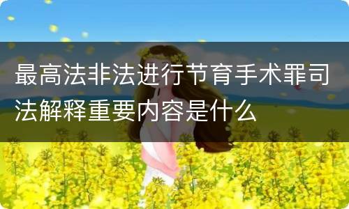 最高法非法进行节育手术罪司法解释重要内容是什么