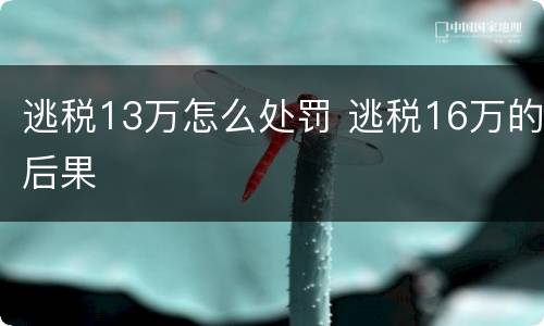 逃税13万怎么处罚 逃税16万的后果