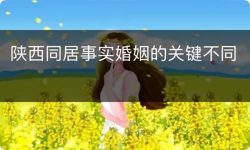 陕西同居事实婚姻的关键不同