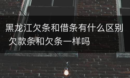 黑龙江欠条和借条有什么区别 欠款条和欠条一样吗