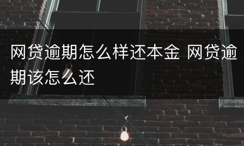 网贷逾期怎么样还本金 网贷逾期该怎么还