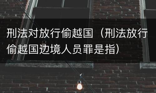 刑法对放行偷越国（刑法放行偷越国边境人员罪是指）