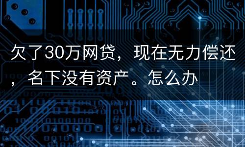 欠了30万网贷，现在无力偿还，名下没有资产。怎么办