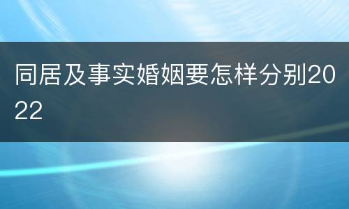 同居及事实婚姻要怎样分别2022