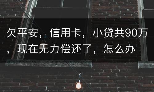 欠平安，信用卡，小贷共90万，现在无力偿还了，怎么办