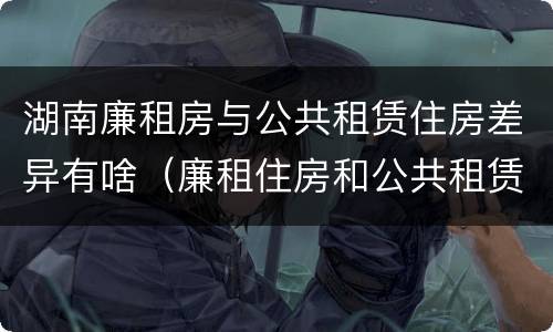 湖南廉租房与公共租赁住房差异有啥（廉租住房和公共租赁住房的区别）