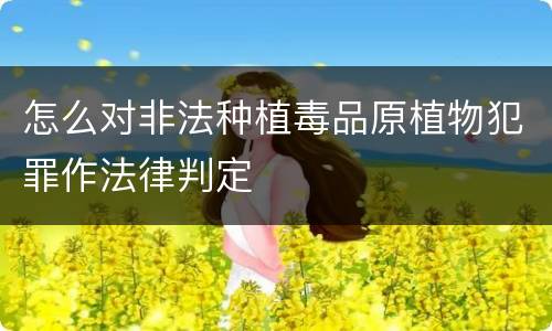 怎么对非法种植毒品原植物犯罪作法律判定