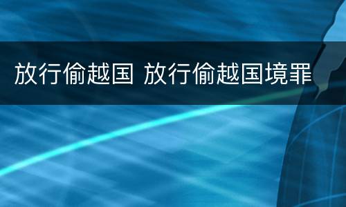 放行偷越国 放行偷越国境罪