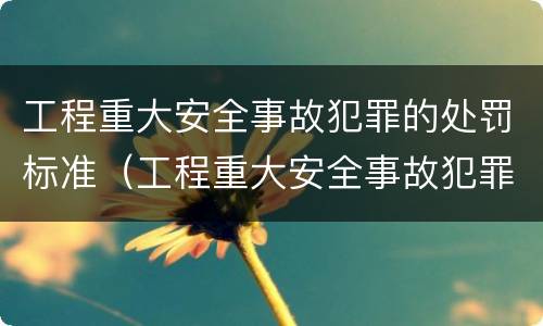 工程重大安全事故犯罪的处罚标准（工程重大安全事故犯罪的处罚标准是）