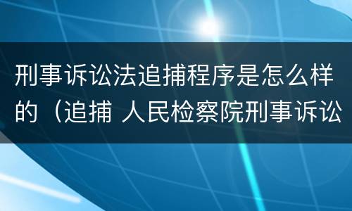 刑事诉讼法追捕程序是怎么样的（追捕 人民检察院刑事诉讼规则）