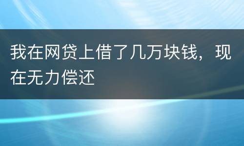 我在网贷上借了几万块钱，现在无力偿还