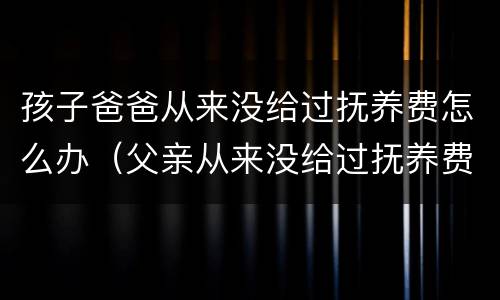 孩子爸爸从来没给过抚养费怎么办（父亲从来没给过抚养费）