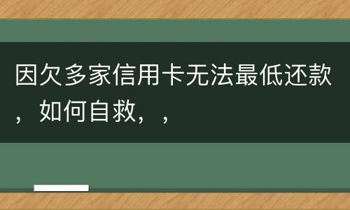 因欠多家信用卡无法最低还款，如何自救，，