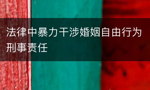 法律中暴力干涉婚姻自由行为刑事责任